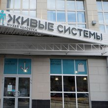 живые системы мнетату